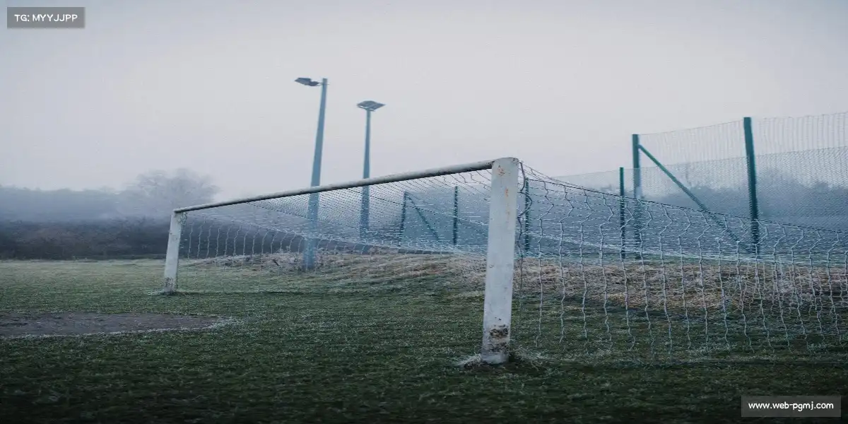 麻将胡了官网——🏂滑雪飞驰，雪浪追风！